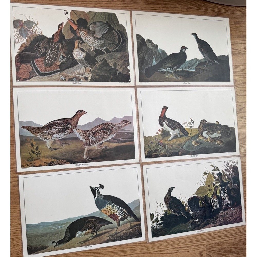 1972 Audubon Gamebirds Placemats Set of 6 Bright of America Reversible Vintage